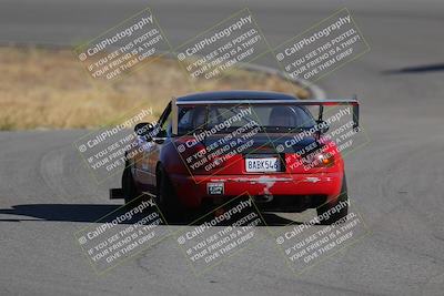 media/Nov-19-2023-Extreme Speed (Sun) [[bd0eec5490]]/Red/Back Shots/